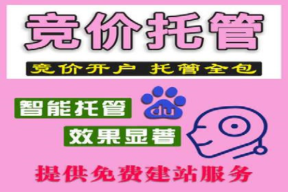 百度竞价排名案例：如何实现精准营销